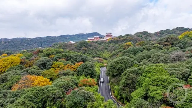 重庆南川：金佛山彩林“怒放”迎客